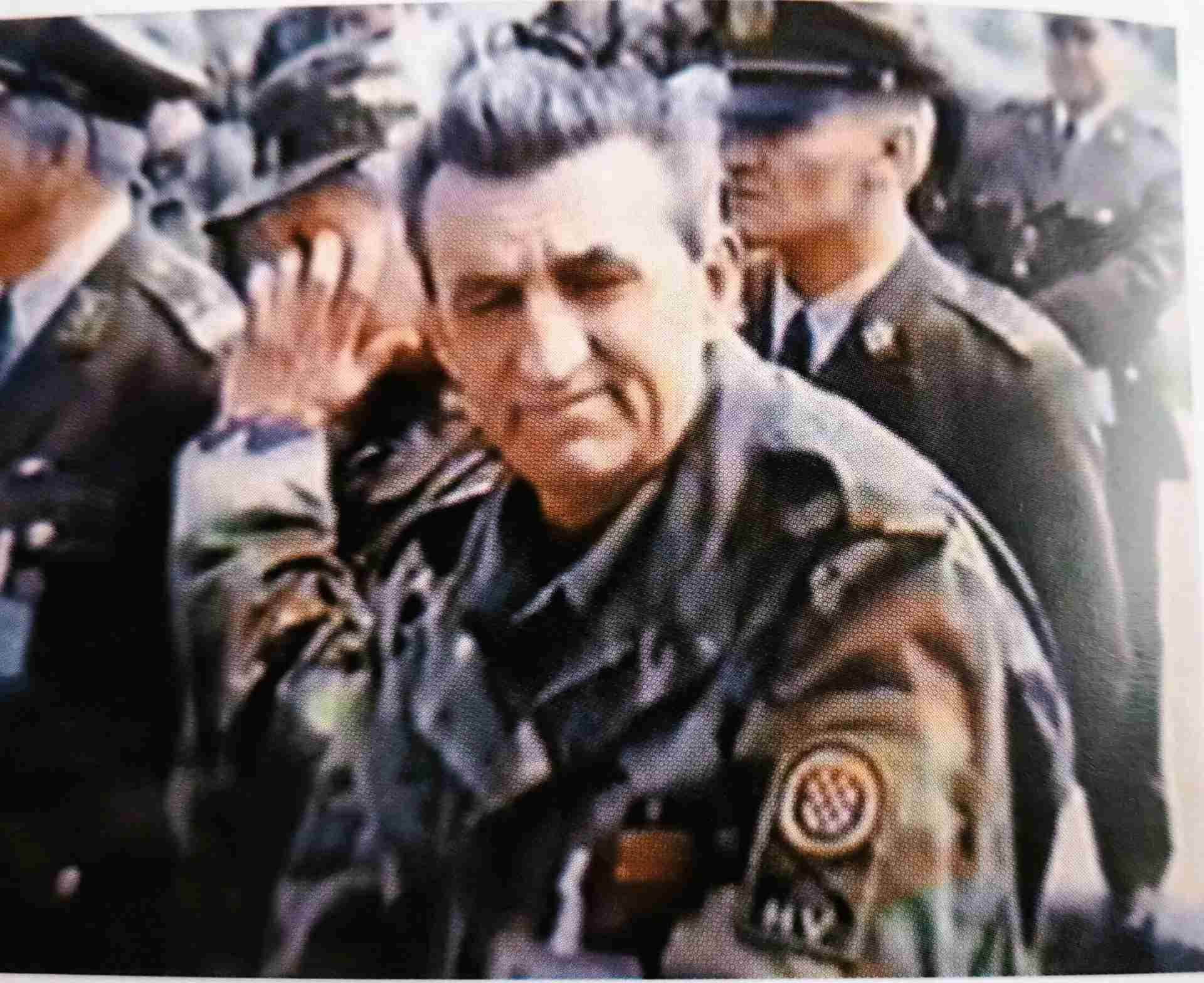 Petar Stipetić